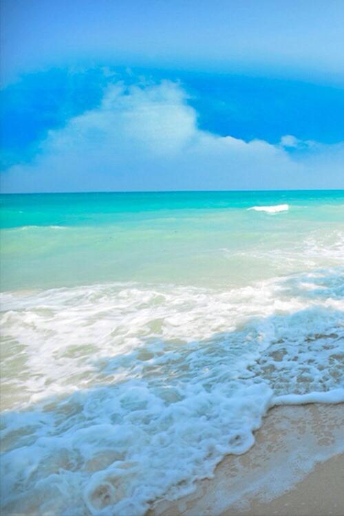 dreamvortex99's tweet image. 