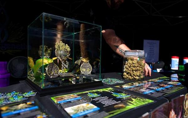 HIGH_TIMES_Mag's tweet photo. Doors Open at 2014 US #CannabisCup in Seattle!—http://t.co/KRIa1PxbXK http://t.co/LDttPftnGs