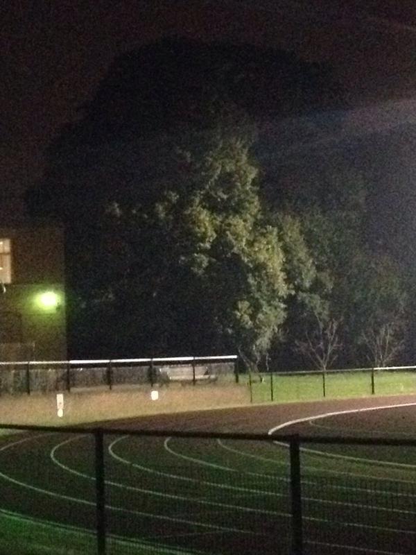 paulsmithart's tweet image. Argh there's a face in them trees #notpissed