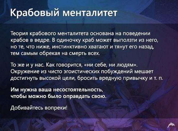Константин (@konstanttinn) on Twitter photo 