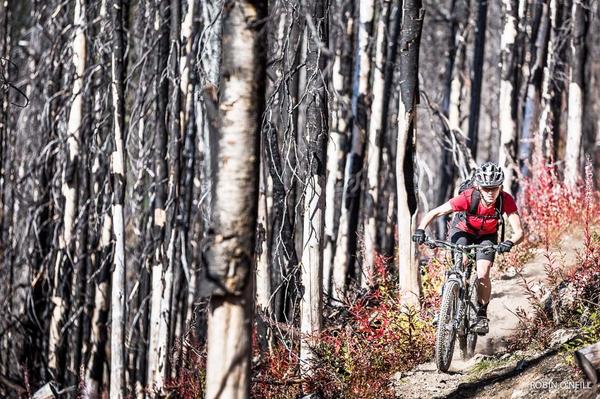 Bike Magazine tweet media