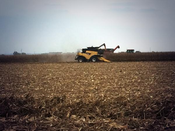 WindshieldFarm's tweet photo. This is how you rent ground! No advertising needed. #hedge #happylandlords @gerrard_thomas http://t.co/sUAW0YHHyL