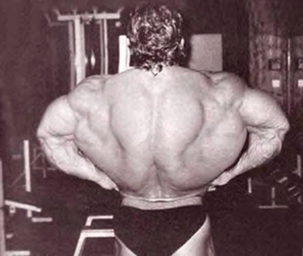 Dorian Yates on X: To build a wide back you gotta pull narrow