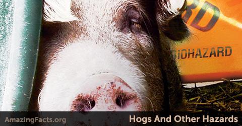 amazingfacts's tweet image. Is it safe to eat pork?  Check out - Hogs And Other Hazards - bit.ly/1Cn0naX - #freebook