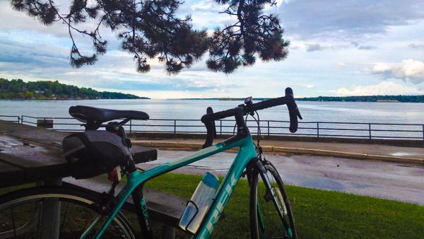 EndicottChris's tweet image. Just back from a 56 km cycle that included #Brockville, where a seagull tried to steal my muffin while I shot this!