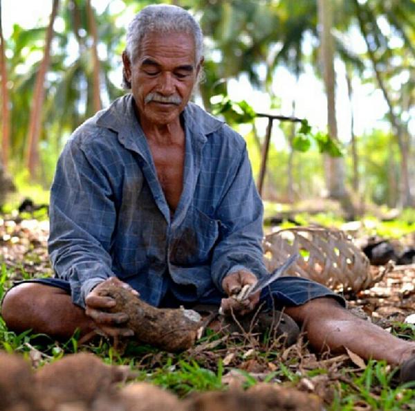 ProudTongans's tweet image. Ofa ke ke mau ha Sapate tamai fiefie = Happy Fathers Day #UikeLeaFakatonga
#TonganLanguageWeek fb.me/2pXJ52o4G