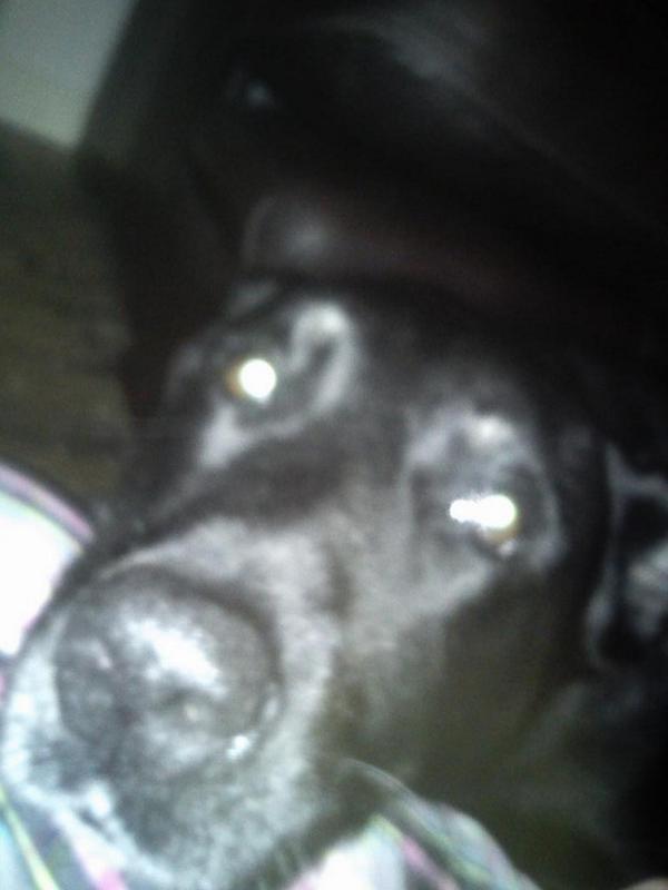 smilesbetter23's tweet photo. In pain with bad back :( an fed up as can't get to sleep. My mate is keeping me company an looking after me tho. :) http://t.co/6HkqZ3Kfbd