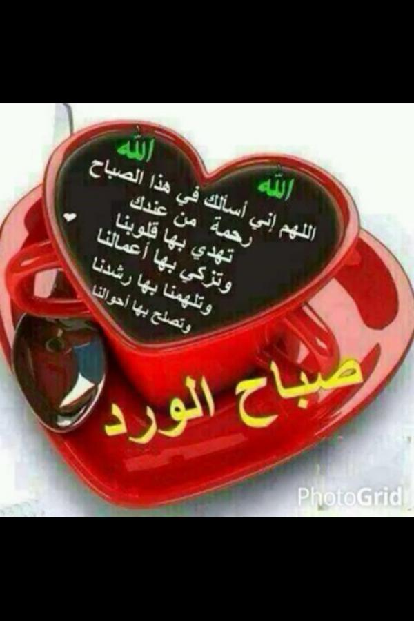 f2009h503's tweet photo. صباح الخير.... http://t.co/nwga8ah2WY