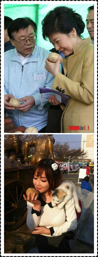 tgs432004's tweet photo. 낸시냉의 기막힌 감자 포퍼먼스 짱! http://t.co/fLeVp1IgvF