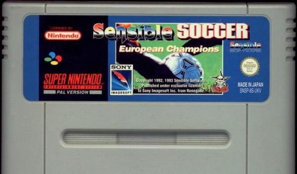 Argh!

Sensible Soccer just crashed.  Nothing a blow on the cartridge didn't sort!