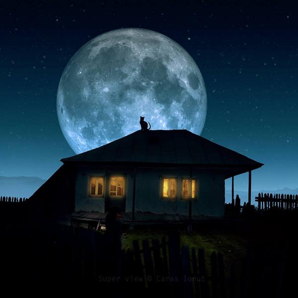 Super view...... by Caras Ionut #supermoon #Caturday