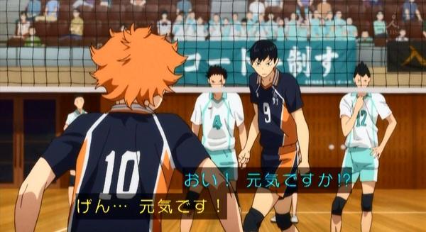 嘲笑のひよこ すすき 影山 おい 元気ですか 日向 げん 元気です 影山 がっつり稼いでから後衛下がれよ 日向 当たり前だ この可愛さがわかる人rt 可愛いと思ったらrt ハイキュー Hq Anime Tbs ハイキュー好きな人rt Http T Co