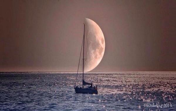 Gabriele Corno tweet media