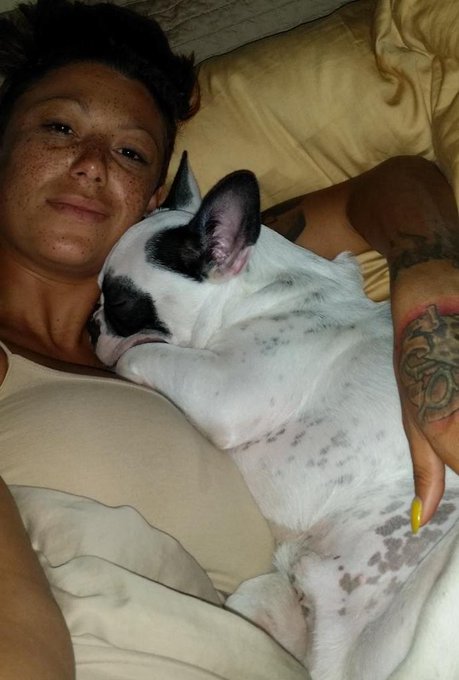 Goodnight everyone #elvisthefrenchie and I are off to sleep... http://t.co/Dban2w86iR<a href="/tag/elvisthefrenchie"class="tags">#elvisthefrenchie</a>