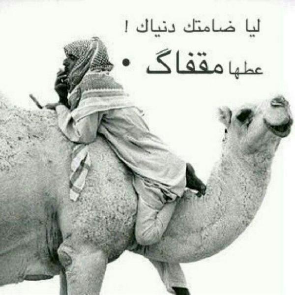 mbarak30 tweet picture