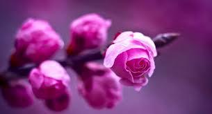 O2_ViE's tweet image. اذا تبي تعرف
متى ينتهي غلاك عندي..
وقف على شط البحر وانتظر
حتى ينتهي موجهّ!!