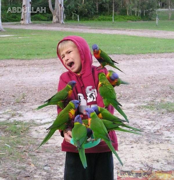 O2_ViE's tweet image. 