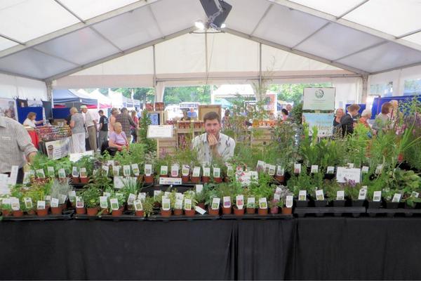 Amazing display from @hooksgreenherbs at #Nantwich #Food #Festival @nantwichfoodies