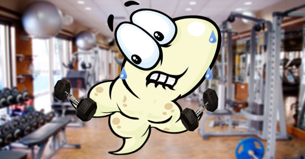 SpermaniaGame's tweet photo. Did you know? MASCULINE men have lower quality sperm. http://t.co/VyJCRXtGcX