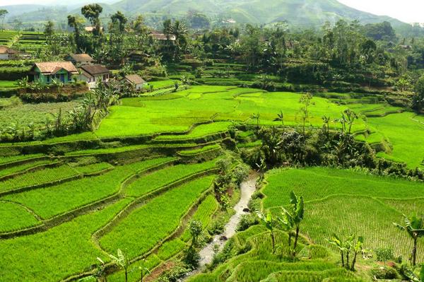 explorejabar's tweet photo. Satu hal yang selalu saya pikirkan, Begitu indah Allah SWT menciptakan dunia dan isinya Subhanallah :) http://t.co/QWSvsIx0f6