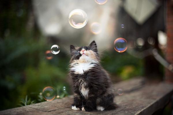 Elverojaguar's tweet photo. https://t.co/PbFDogQf7M