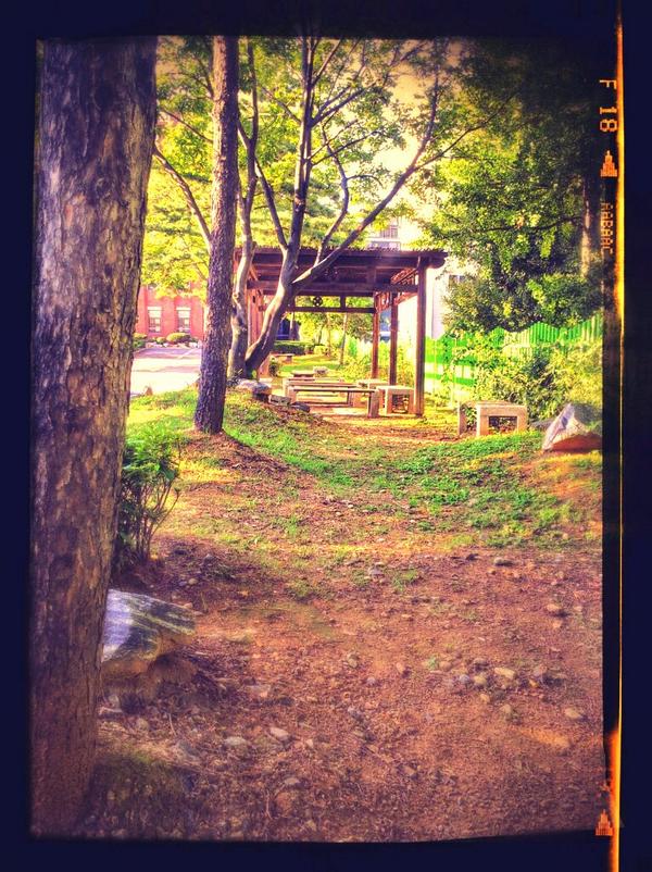 hamony22's tweet photo. ♥고.사.리♥
*고맙습니다.
*사랑합니다.
*이해합니다. http://t.co/p8tZ6jrl5l