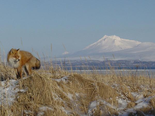 The Wilderness Act lets wild land be wild forever. Celebrate wilderness forever go.usa.gov/yM63 #Wilderness50