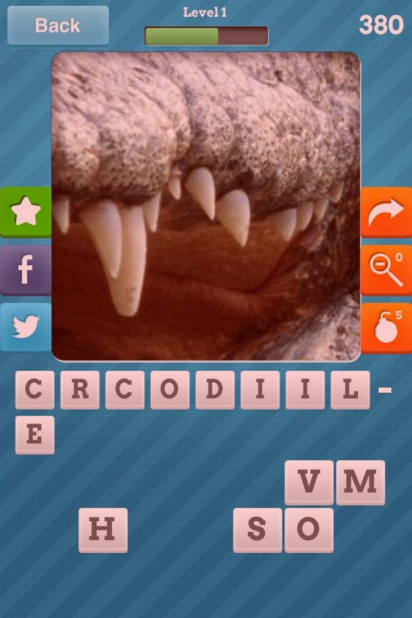 chyann123's tweet photo. Can anyone guess what this close up is of? #CloseUpPics for iOS: help http://t.co/OUIDEjiJp2