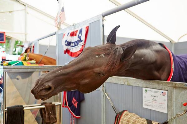 USequestrian's tweet image. Congrats to Abigail Wexner. Her horse Cortes 'C' was the only one to jump every round clear today! RT @myfei_home