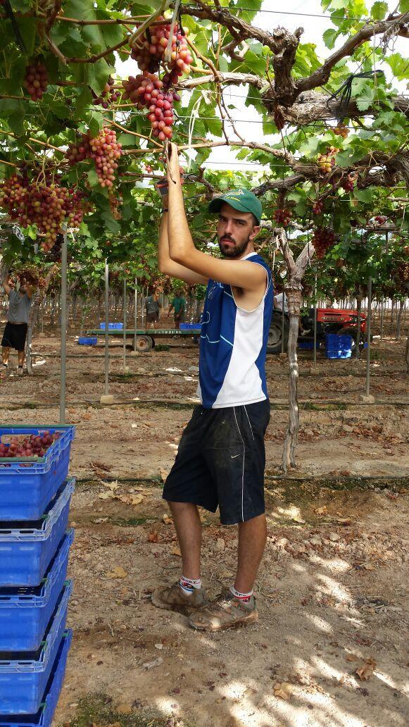 Tensador de alambres....