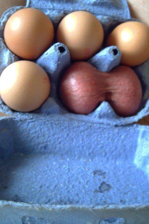 hubertkobosz's tweet photo. @Tesco yes, I bought six eggs at your store in Goodmayes and two of them had no yolk in them :( http://t.co/cuhspInsMj
