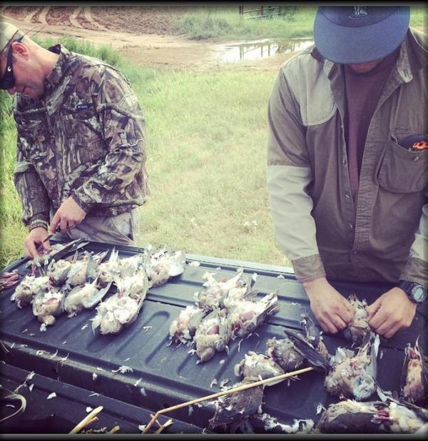 Chaipy24's tweet photo. Perfect weekend of family and dove hunting! #SlayedThem #IfLeadDontFlyTheyDontDie http://t.co/lfsyhQYiWZ