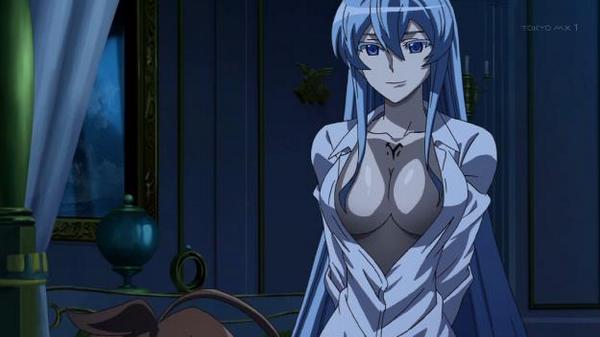 アカメが斬る 第10話感想 エスデス将軍のおっぱい エロい巨乳は危険だお 久々にアカメが斬ったお アカメが斬る