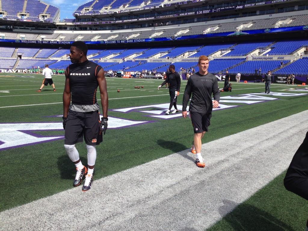 Bw8IczfIQAA9q92.jpg:large