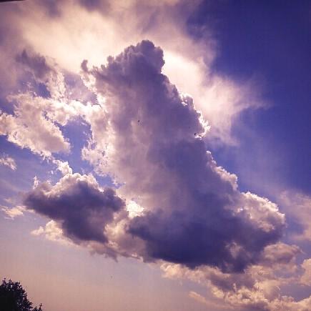 Aiannucci's tweet image. 