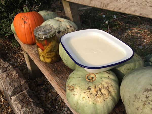 moonbites's tweet image. 2day I have harvested squashes, made yogurt &amp;amp; pickled chillies #smug 2 Playreading The Crucible next #moodchanges