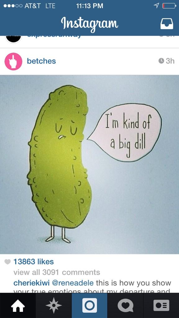 cg_86's tweet image. @Kerbiture #picklehumor