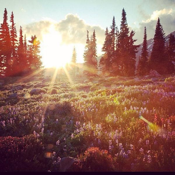 IsaacIgnace tweet picture