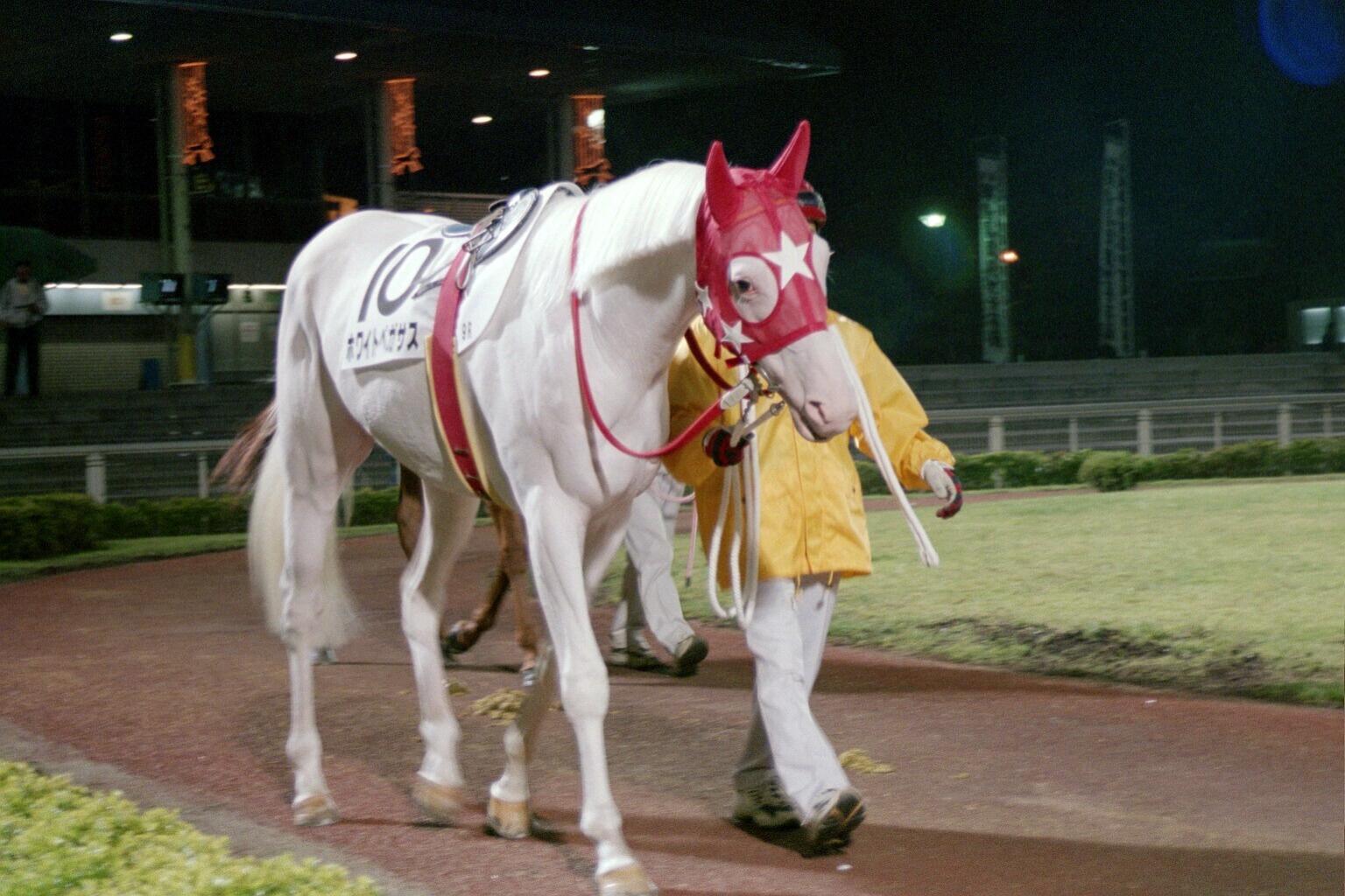 美少女魔法騎士 キュアみ ふぁ わたしは馬がだいすきなので競馬も見ます 競馬の馬の名前はすごくかっこいい のからふざけてるのまでいます 歴代ナンバー１だとおもったかっこいい名前は日本で５０匹くらいしか今まで見つかっていない 白馬 の