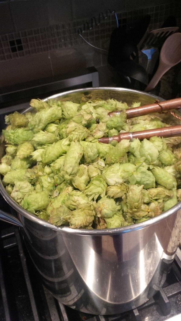d_gano1's tweet photo. @HiredGuns @BrewVIC last of the fresh hops added the kettle. http://t.co/WA96gln2tO