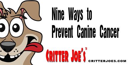 CritterJoes's tweet image. Nine Ways to Prevent Canine Cancer - ow.ly/Bcxwo  #doghealth #LEDpetproducts #critterjoes #LEDcollars