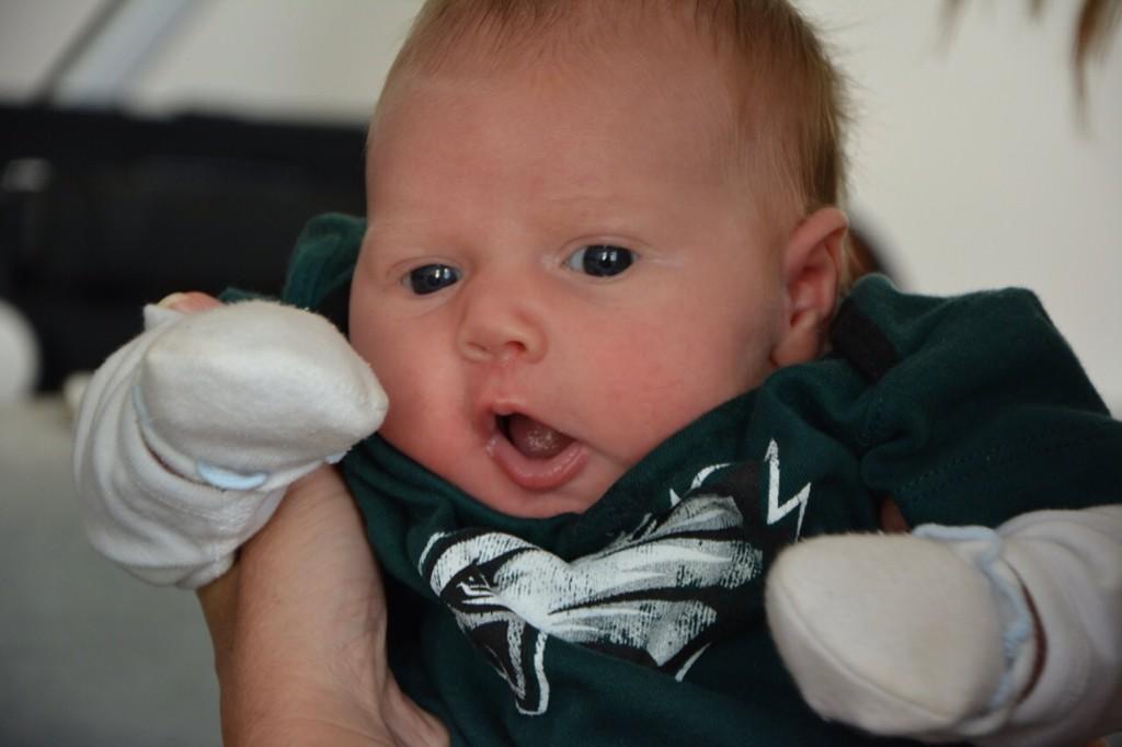 Embedded image permalink