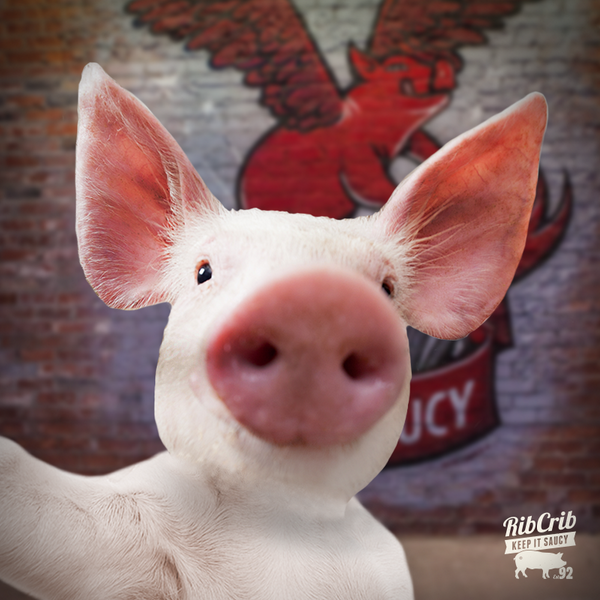 keldudding's tweet photo. “@RibCrib: #SelfieSunday http://t.co/8Troh1TvNX”@27sunbear