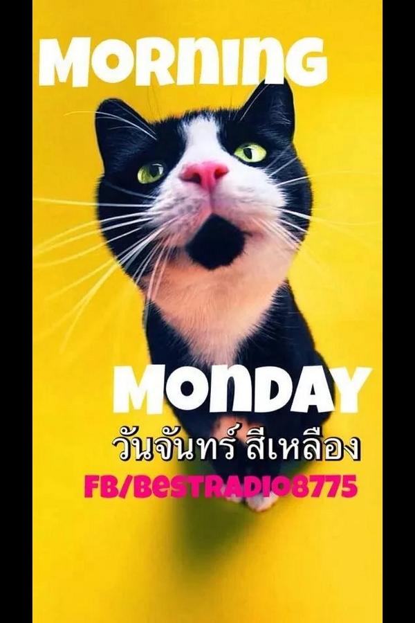 ohyeh0105's tweet photo. http://t.co/mQ59yZYiLj