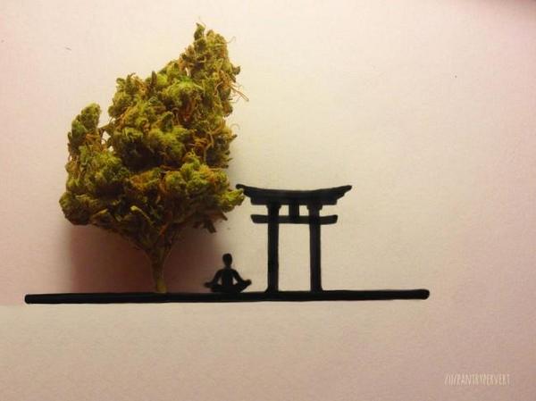 MartinHoran1's tweet image. #Marijuana #Bonsai Trees. I can feel a #ForrestFire coming on soon.