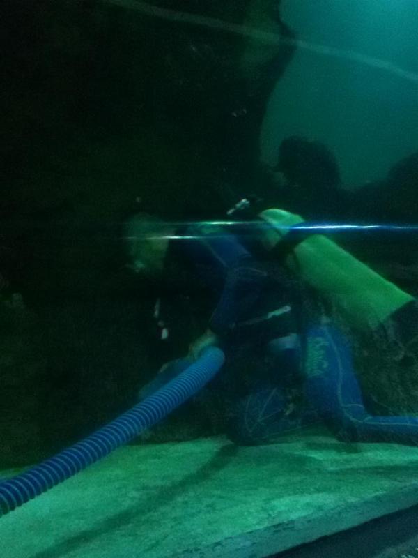 Dee...M0M3N0 tweet media