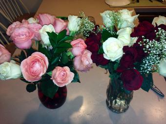 Coming home from work to 3 dozen roses ... 😍❤️ http://t.co/nf6bBg96pJ