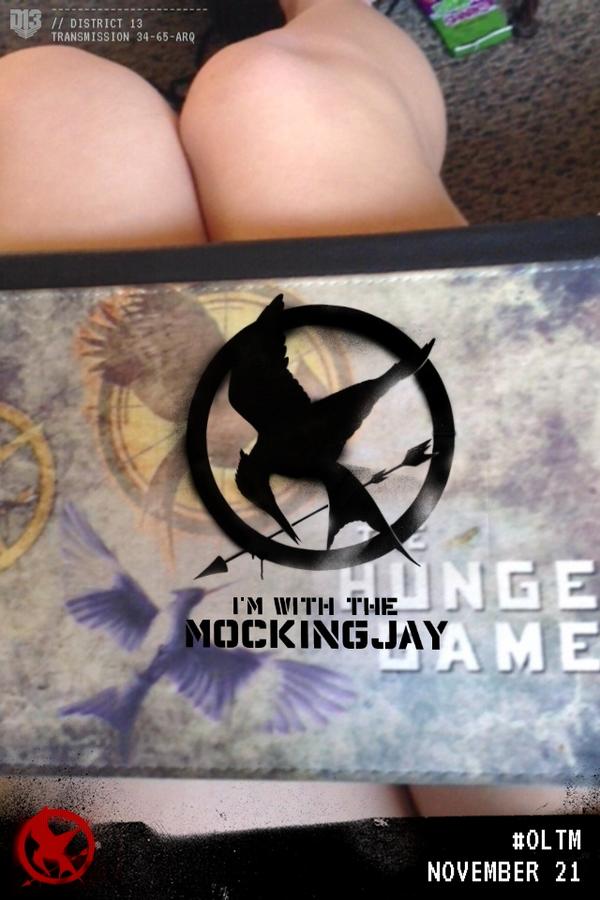 I'm with the mocking jay