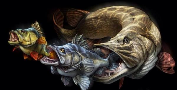 bigfish591 tweet picture