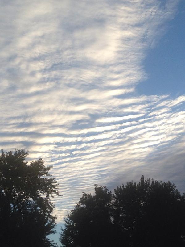 TStrandeWx's tweet photo. @RandyBrock gravity wave at sunset! From Pine Island, MN. #pimn http://t.co/qHXJIAutrK